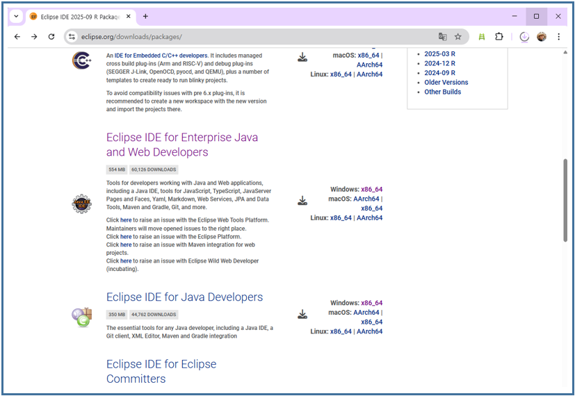 Access the official Eclipse website and download the program.